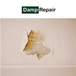 Damp Repair