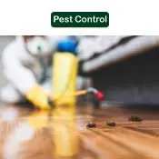 Pest Control