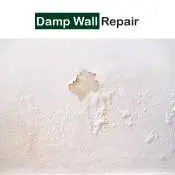 Damp Wall Repair